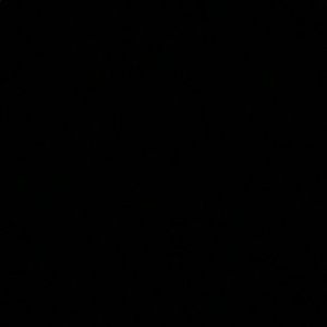 Meet your Posher, Jared